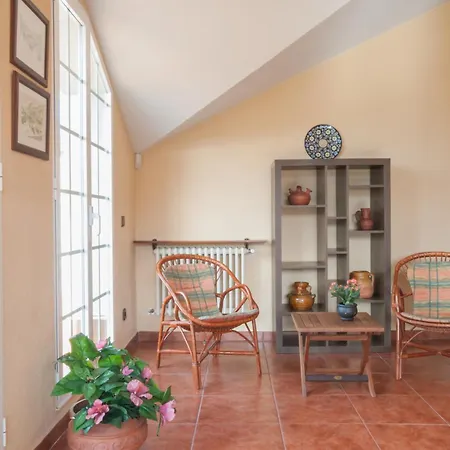 Avg Estanco 252 * 希洪